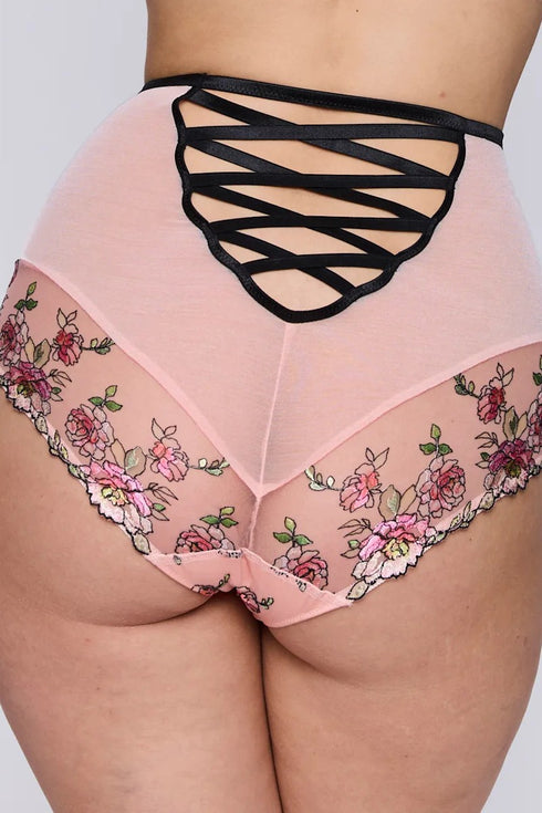 PrimaDonna Eraclea Special Briefs